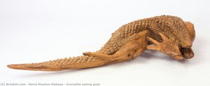 Crocodile eating goat