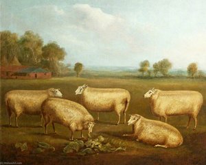 Five Leicester Sheep — William Henry Davis