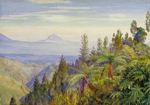 The Ardjuno Volcano From Tosari, Java — Marianne North, Marianne North | Botanical Illustration
