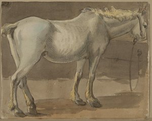 A Horse — Paul Sandby