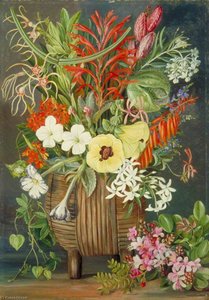 South African Flowers In A Wooden Kaffir Bowl — Marianne North