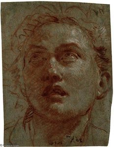 Head Of A Man Looking Up — Giambattista Tiepolo