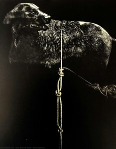 Amarraperros — Juan Antonio Roda