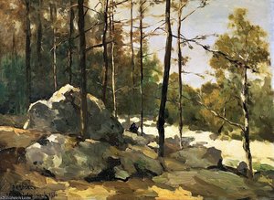 Forest View At Barbizon Sun — Jan Weissenbruch