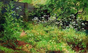 Goutweed-grass. Pargolovo — Ivan Ivanovich Shishkin, Realism