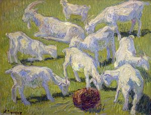 Goats In Sunlight