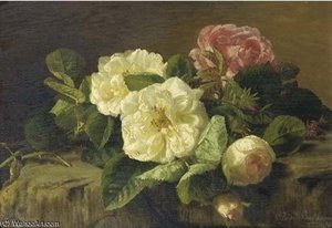 Wild Roses