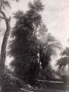 Trees, (painting) — Asher Brown Durand