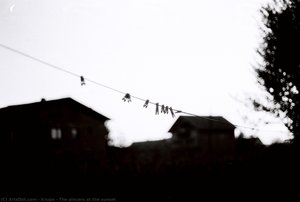 The Pincers At The Sunset — Alfred Freddy Krupa