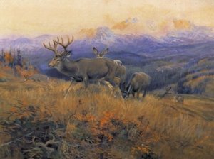 Deer In Landscape — Charles Marion Russell