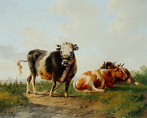 Three Cows — Albertus Verhoesen