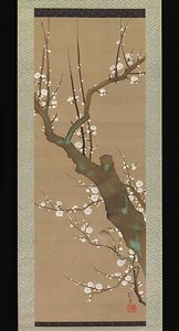White Plum Blossoms and Nightingale