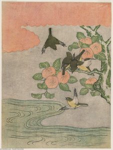 Quince Fruit And Japanese White-eye — Suzuki Harunobu