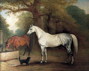 Two Horses And A Dog — Sr John E Ferneley