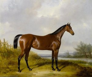 A Bay Hunter By A River — William Barraud