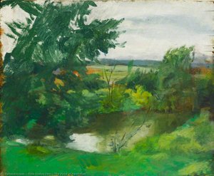 The Pond at Hawkshall