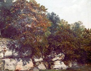 Rocks And Trees