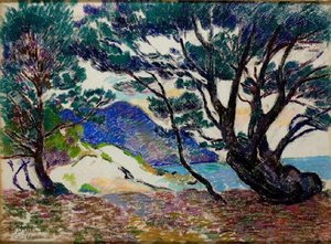 Pins Maritimes, Crique Au Brusc — Ferdinand Guillaumin