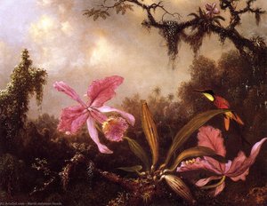 Orchids And Crimson Topaz Hummingbird — Martin Johnson Heade