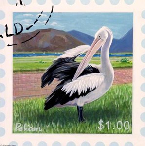 'Dreams of Australia' Series, Pelican