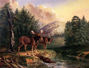 Moose In Maine — Titian Ramsay Peale Ii, High Renaissance