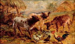 Animals