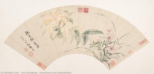 Carnations and amaranthus