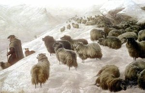 The Morning After A Stormy Night — Charles Jones