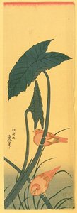 Bird And Plant — Katsushika Hokusai