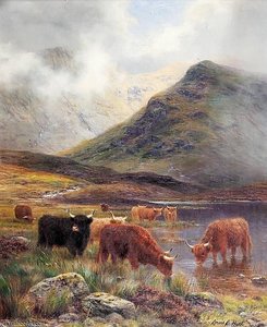 Highland Cattle Watering — Louis Bosworth Hurt