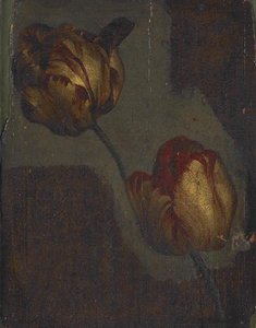 Tulipes Etude De Tulipes — Moïse Jacobber