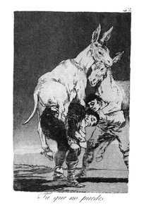 Sie, Die Nicht Können — Francisco José De Goya Y Lucientes, Romanticism