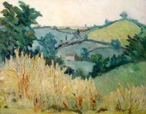 A Cornfield
