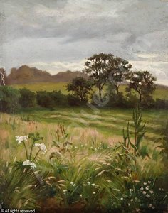 Summer Landscape — Frederick William Jackson