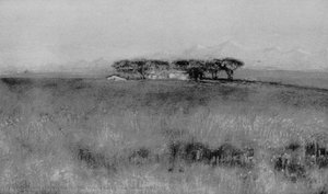 The Bosco Sacro Near Rome, Italy — Enrico Nardi