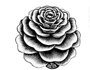 32 — Maurits Cornelis Escher