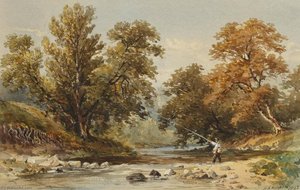 Fly Fishing in a Mountainous Landscape