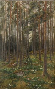 Forest — Johan Krouthén