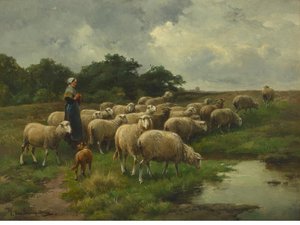 Sheep At Pasture