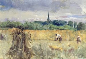 Harvest Field