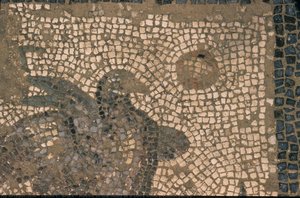 Mosaic Of The Head Of A Dove Before Conservation — Edwin C. Brock
