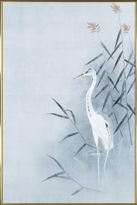 Title Name (Japanese): 幼鷺