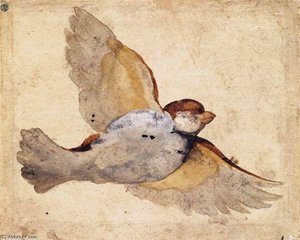 Studie eines Fliegenden Spatzen
