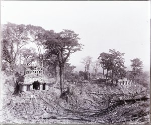 Photograph Of Palenque Taken By A.p. Maudslay — Alfred Percival Maudslay, Documentary Photography