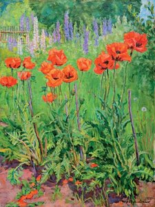 Poppies — Pyotr Konchalovsky, Fauvism