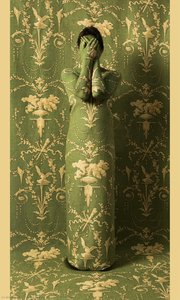 The Secret — Cecilia Paredes Verduga