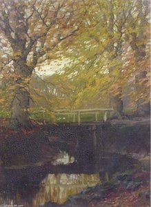 Herfstgoud - Beech Trees In Autumn