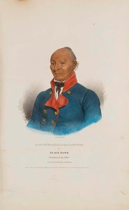 Mac Cut I Mish E Ca Cu Cac Or Black Hawk A Celebrated Sac Chief, From The Aboriginal Portfolio — James Otto Lewis