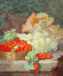 Redcurrants And Grapes — Eloise Harriet Stannard
