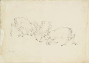 Fighting Stags, Study For `gordale Scar' — James Ward